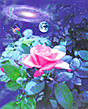 "Rose Garden" thumbnail